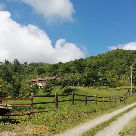 La Casa In Collina Bed & Breakfast Cinzano Eksteriør bilde